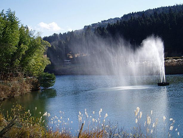 b0068423_16184283.jpg
