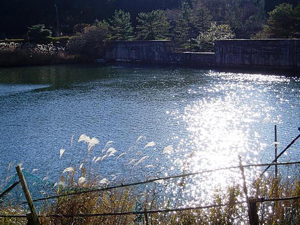 b0068423_16223517.jpg