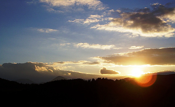 b0068423_16315386.jpg