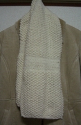 b0008526_20143876.jpg