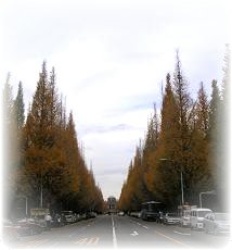 d0006126_2354678.jpg