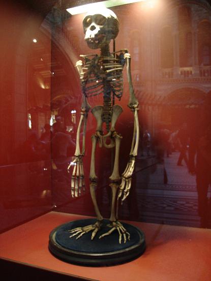 e0070728_8172478.jpg