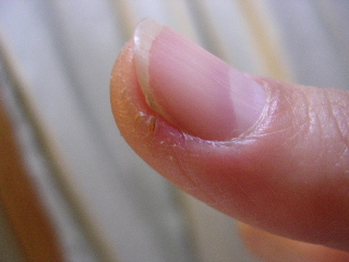 c0065643_18243163.jpg