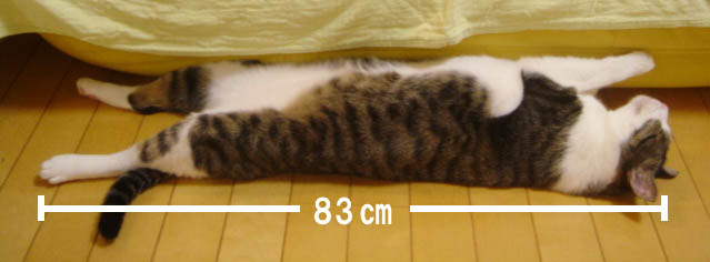 a0055567_10332657.jpg