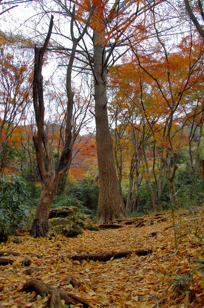 a0054691_1938295.jpg