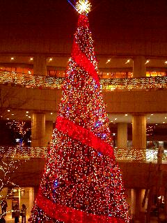 d0028195_10431831.jpg