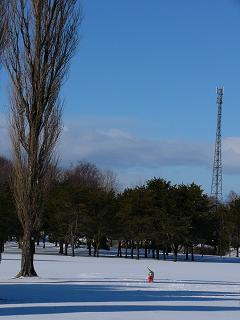 a0039299_16523642.jpg