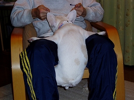 e0066099_23141244.jpg