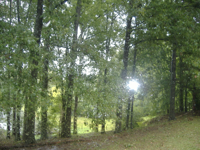 c0049302_7321481.jpg