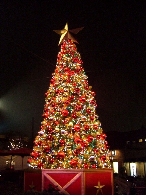 c0062603_14252036.jpg