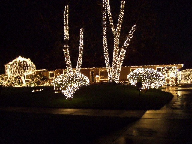 c0062603_1433890.jpg