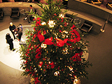 d0042618_9452561.jpg