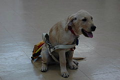 e0006018_64141.jpg