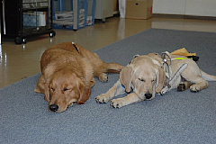 e0006018_6415780.jpg