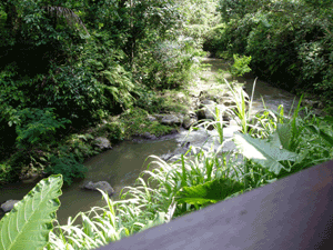 d0038319_10433176.gif