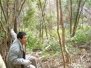 e0002820_19282971.jpg