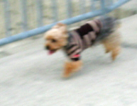 d0017632_17451822.jpg