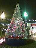 e0090734_112124.jpg