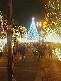 e0090734_112183.jpg