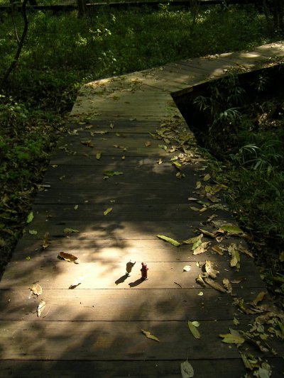 d0038835_22124647.jpg