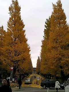 a0025141_2336372.jpg