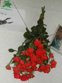 d0056544_024481.jpg