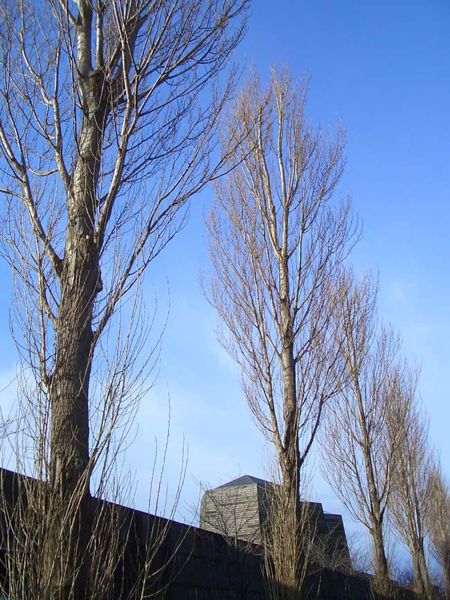e0002850_20334771.jpg
