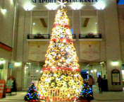 f0015355_1421817.jpg