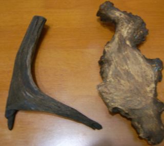 e0072757_2403797.jpg