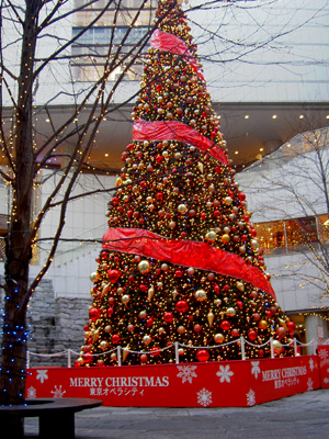 a0003259_11163180.jpg