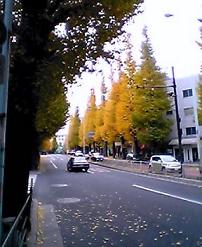 a0047760_13301773.jpg