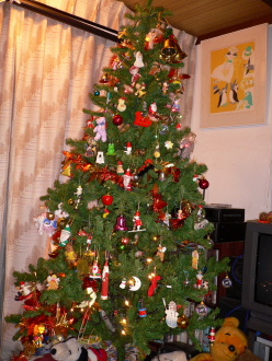 a0063364_1521486.jpg