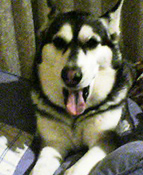 c0028664_22384280.jpg