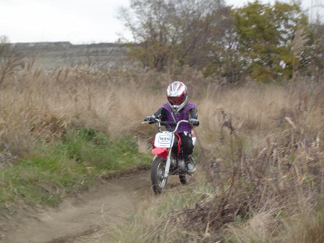 b0024266_931569.jpg