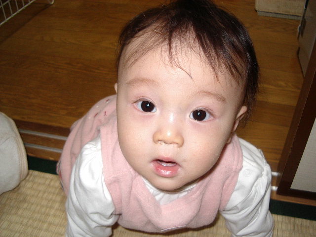 e0089272_1052109.jpg