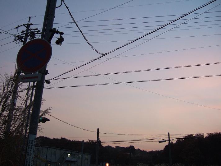 d0032480_052331.jpg