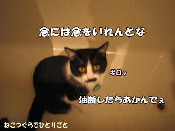 b0041182_9343788.jpg