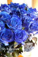 c0051385_0491589.jpg