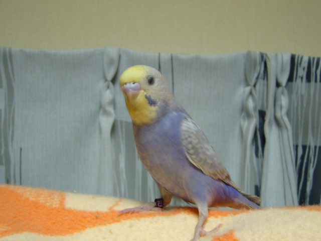 c0063795_20545057.jpg