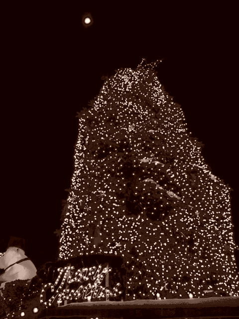 c0037103_15261319.jpg