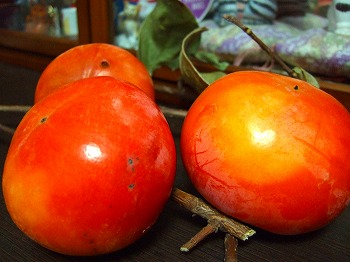 a0034419_12311429.jpg