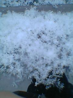e0041130_132009.jpg