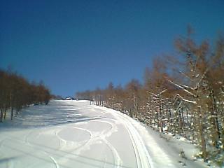 e0041130_1339045.jpg