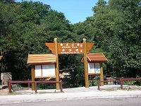 c0008439_13155031.jpg
