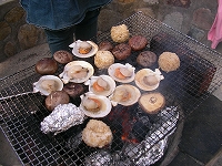 c0008439_13171769.jpg
