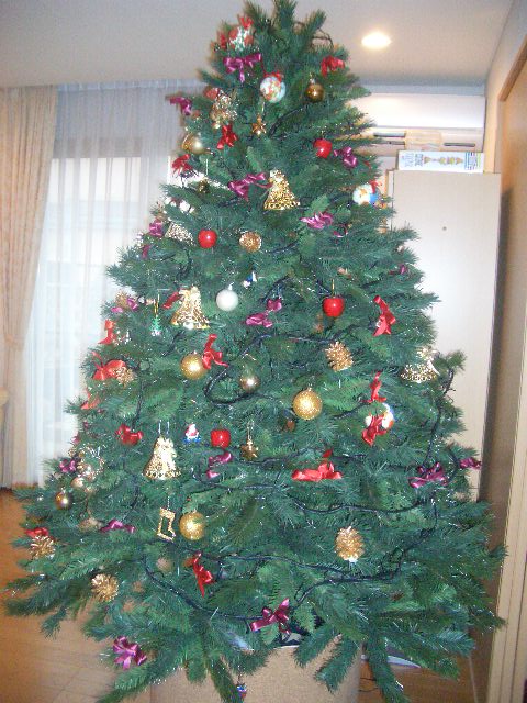 e0019442_2333275.jpg