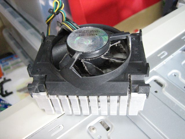 e0093842_41098.jpg