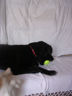 c0065643_15301013.jpg