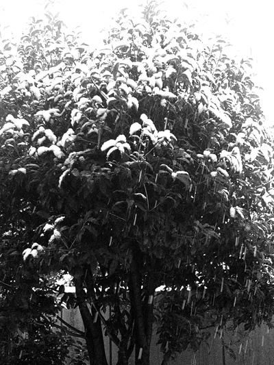 d0022345_15142410.jpg