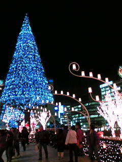 e0024073_211367.jpg
